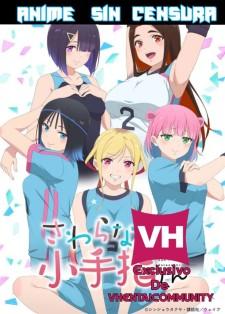 Sawaranaide Kotesashi-kun Sub Español