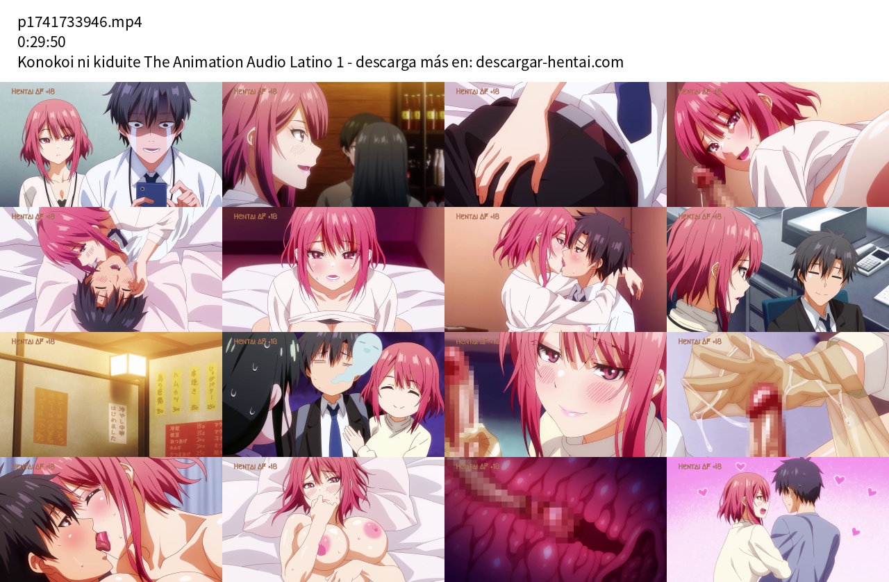 Konokoi ni kiduite The Animation Audio Latino Episodio 1